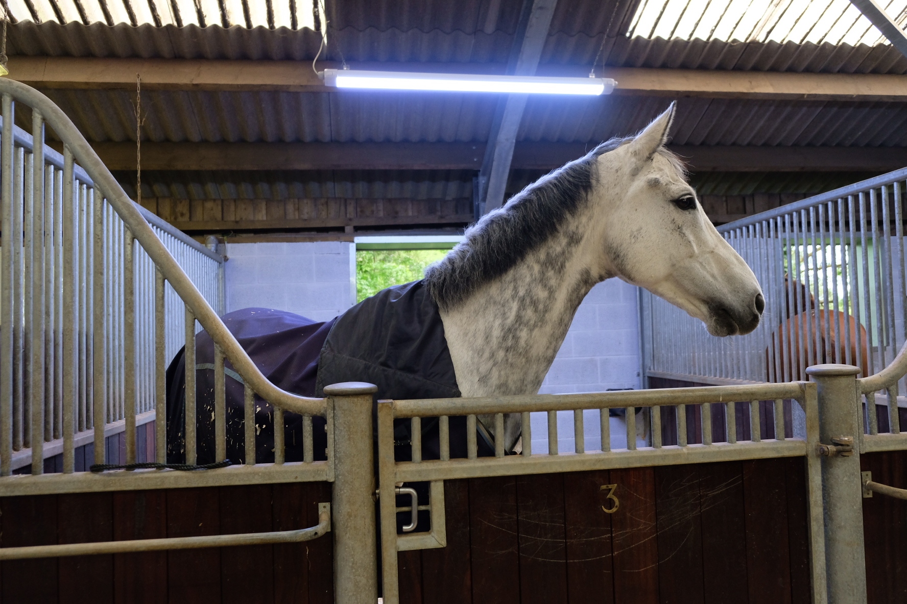 Q-Line | HorseLight stable lighting